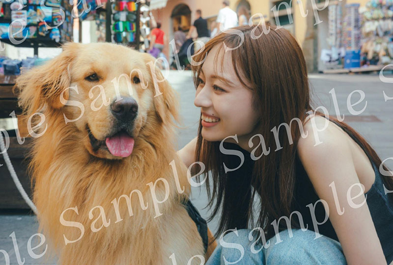 乃木坂46・梅澤美波2nd写真集『透明な覚悟』よりNIC リテールズ限定特典ポストカード/チンクエテッレの街でわんちゃんと遭遇♡「いいコすぎる」と梅ちゃんもメロメロ